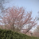 北京旅游 缩略图 5