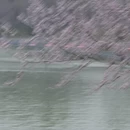 北京旅游 缩略图 1