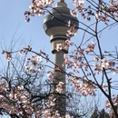 北京旅游 缩略图 3