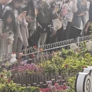 北京旅游 缩略图 2
