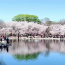 北京旅游 缩略图 11