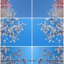 北京旅游 缩略图 12