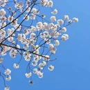 北京旅游 缩略图 16