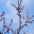 北京旅游 缩略图 1
