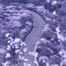 北京旅游 缩略图 2