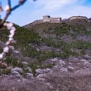 北京旅游 缩略图 3