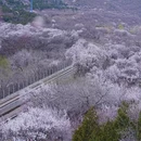 北京旅游 缩略图 6