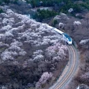 北京旅游 缩略图 8