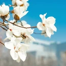 北京旅游 缩略图 11