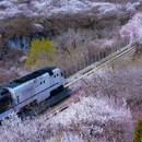 北京旅游 缩略图 7