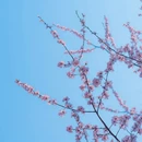北京旅游 缩略图 10