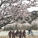 北京旅游 缩略图 3
