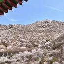 北京旅游 缩略图 4