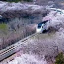 北京旅游 缩略图 9