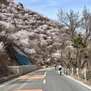 北京旅游 缩略图 8