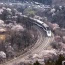 北京旅游 缩略图 1