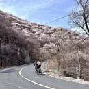 北京旅游 缩略图 10