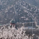北京旅游 缩略图 3