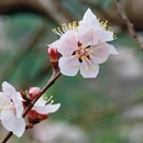 北京旅游 缩略图 5