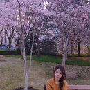 北京旅游 缩略图 8