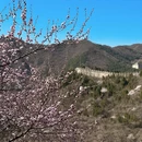 北京旅游 缩略图 6
