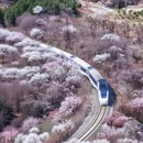 北京旅游 缩略图 12