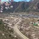 北京旅游 缩略图 8