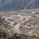 北京旅游 缩略图 13