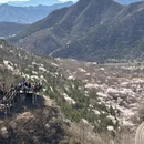 北京旅游 缩略图 14