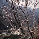 北京旅游 缩略图 12