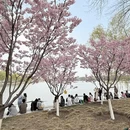北京旅游 缩略图 3