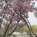 北京旅游 缩略图 2