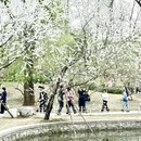 北京旅游 缩略图 7
