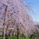 北京旅游 缩略图 2
