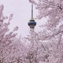 北京旅游 缩略图 6