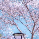 北京旅游 缩略图 6