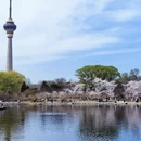 北京旅游 缩略图 6