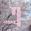 北京旅游 缩略图 1