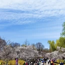 北京旅游 缩略图 7