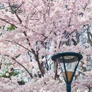 北京旅游 缩略图 4