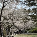 北京旅游 缩略图 4