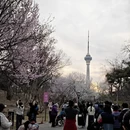 北京旅游 缩略图 1