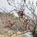 北京旅游 缩略图 6