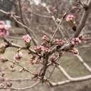 北京旅游 缩略图 8