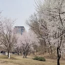 北京旅游 缩略图 3