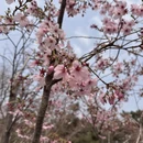 北京旅游 缩略图 1
