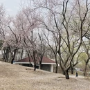 北京旅游 缩略图 9