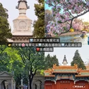 北京旅游 缩略图 5