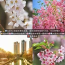 北京旅游 缩略图 8