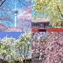 北京旅游 缩略图 1